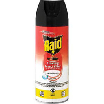 Raid Insect Air Kill Odourless Crawl 1 x 300Ml